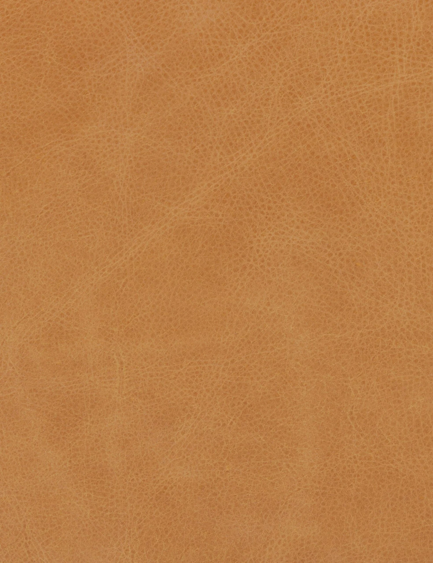 Aldora Stool - Image 15