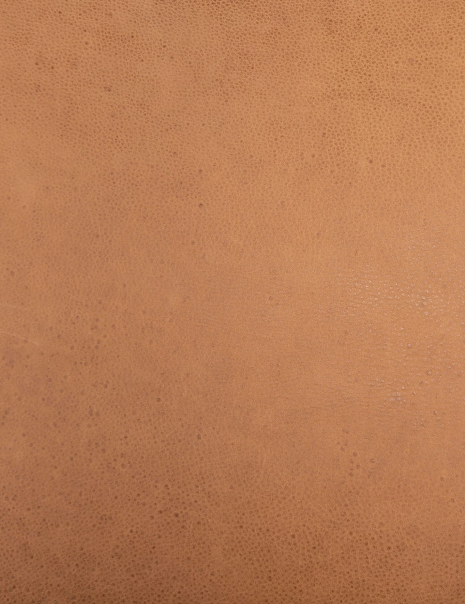 Mathieu Dining Chair - Image 7