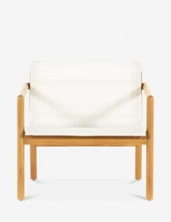 Charise Indoor / Outdoor Accent Chair