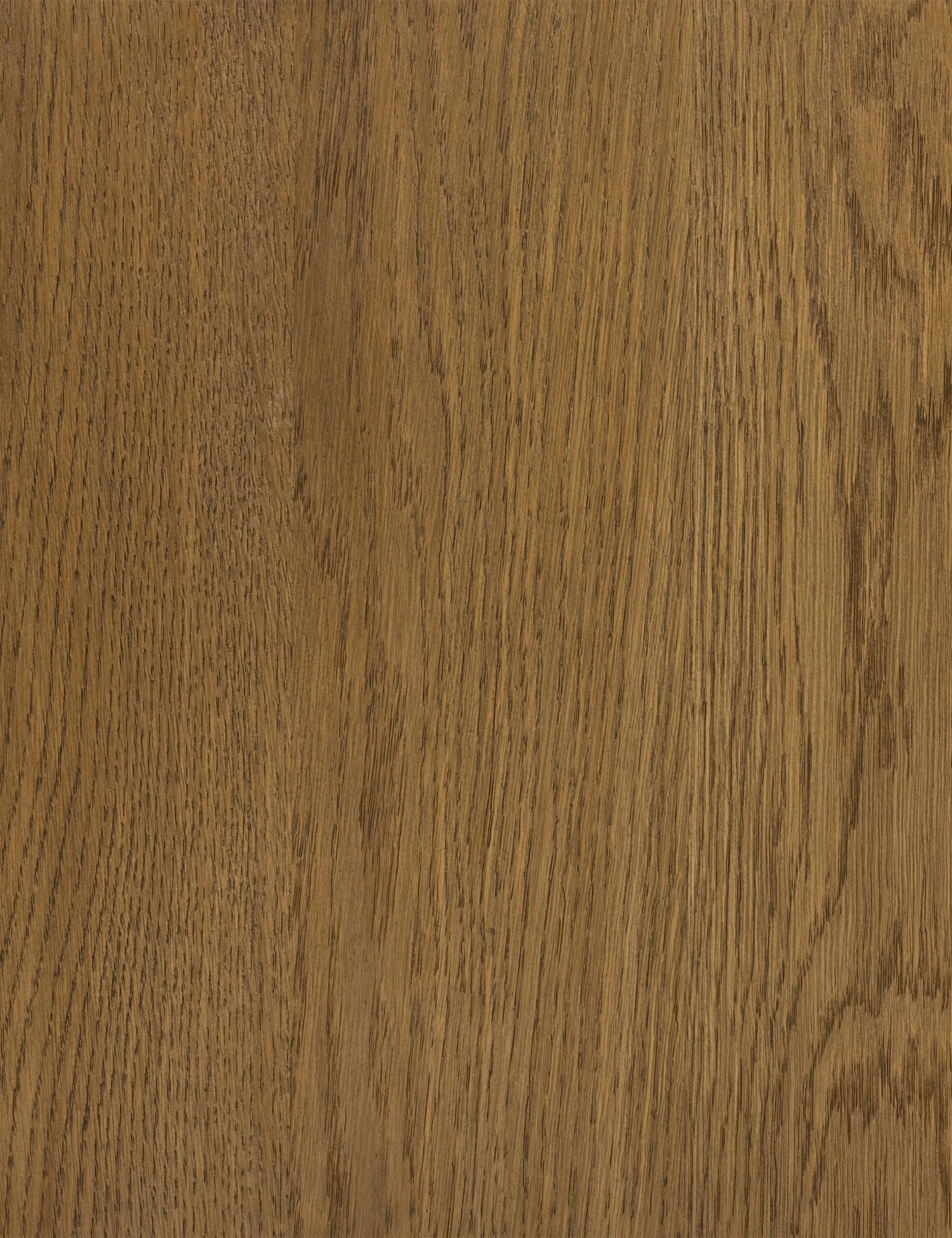 Salvatore Media Console - Image 8