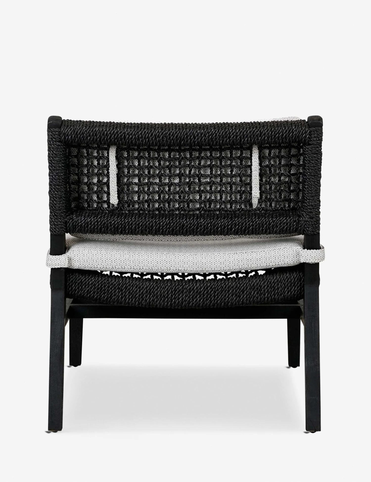 Terrance Indoor / Outdoor Accent Chair - Image 4