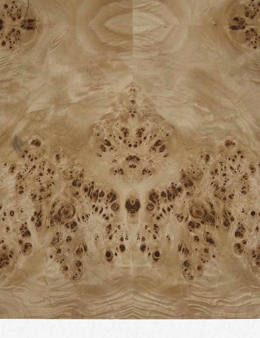 Brisa Burl Wood Coffee Table - Image 7