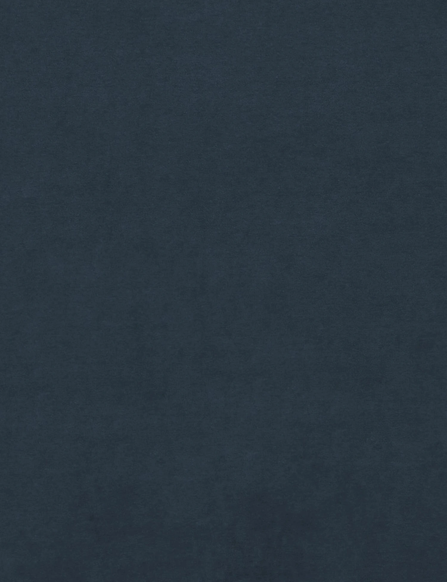 Dawson Swivel Chair - Image 3