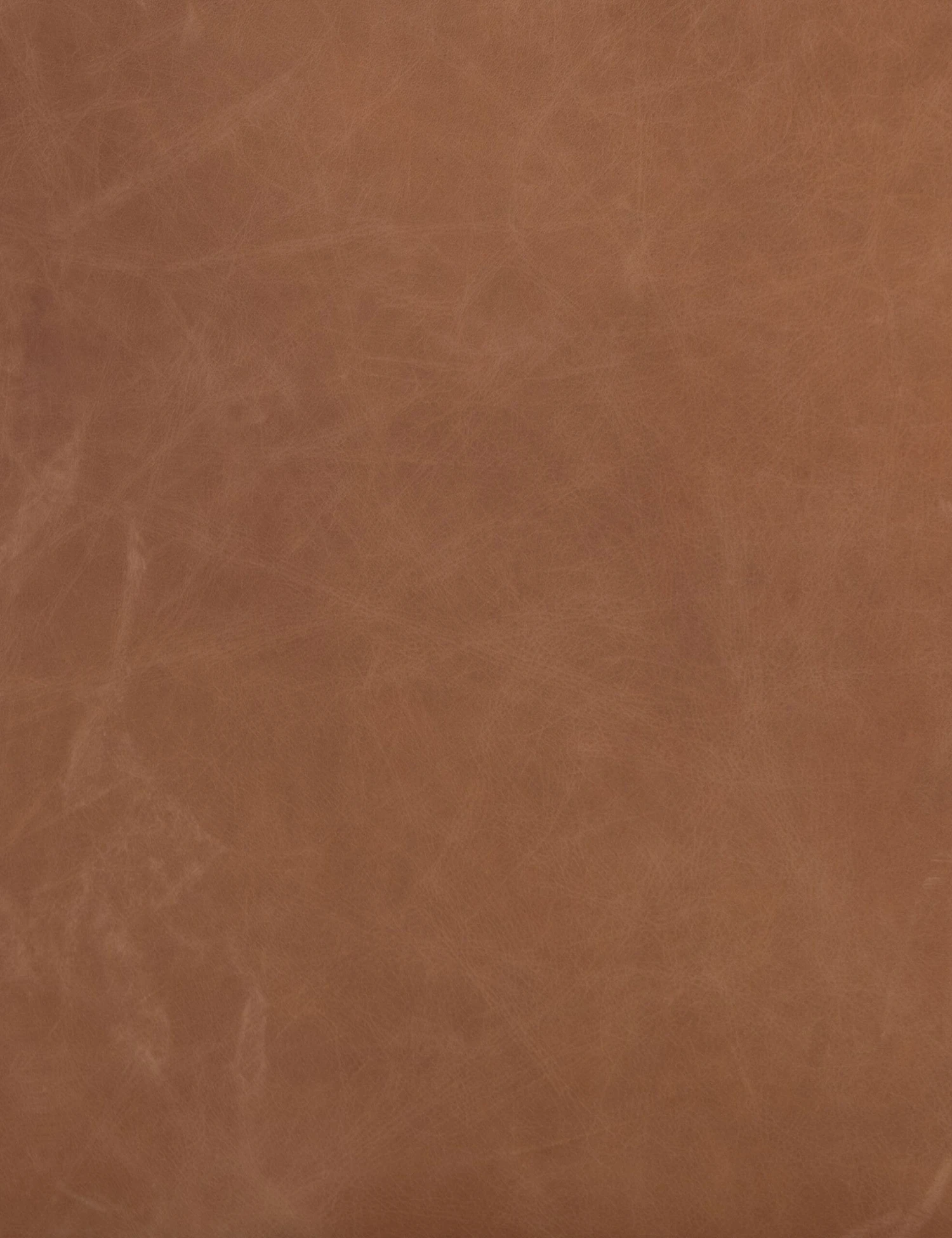 Breanne Leather Sofa - Image 15