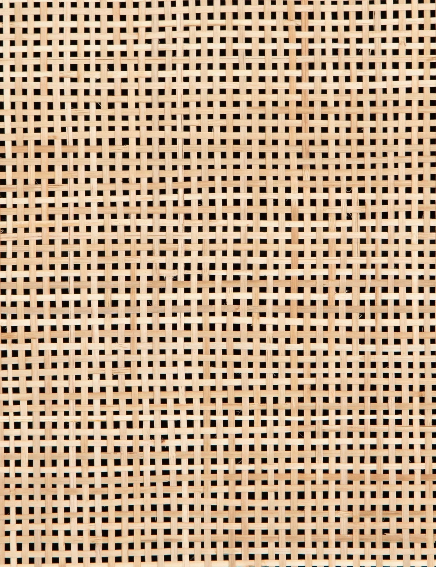 Hannah Dresser - Image 17