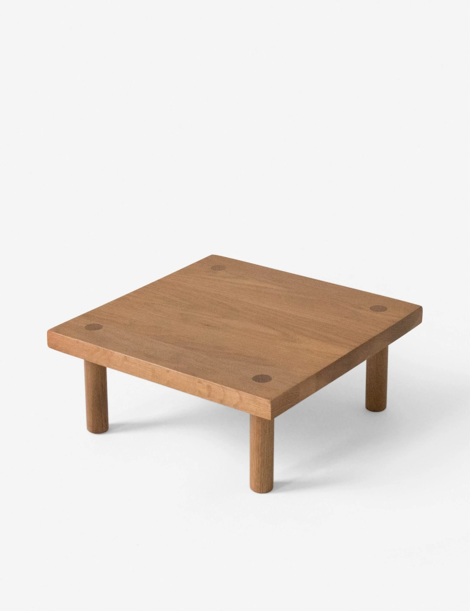 Yucca Stand By Sun At Six - Image 9