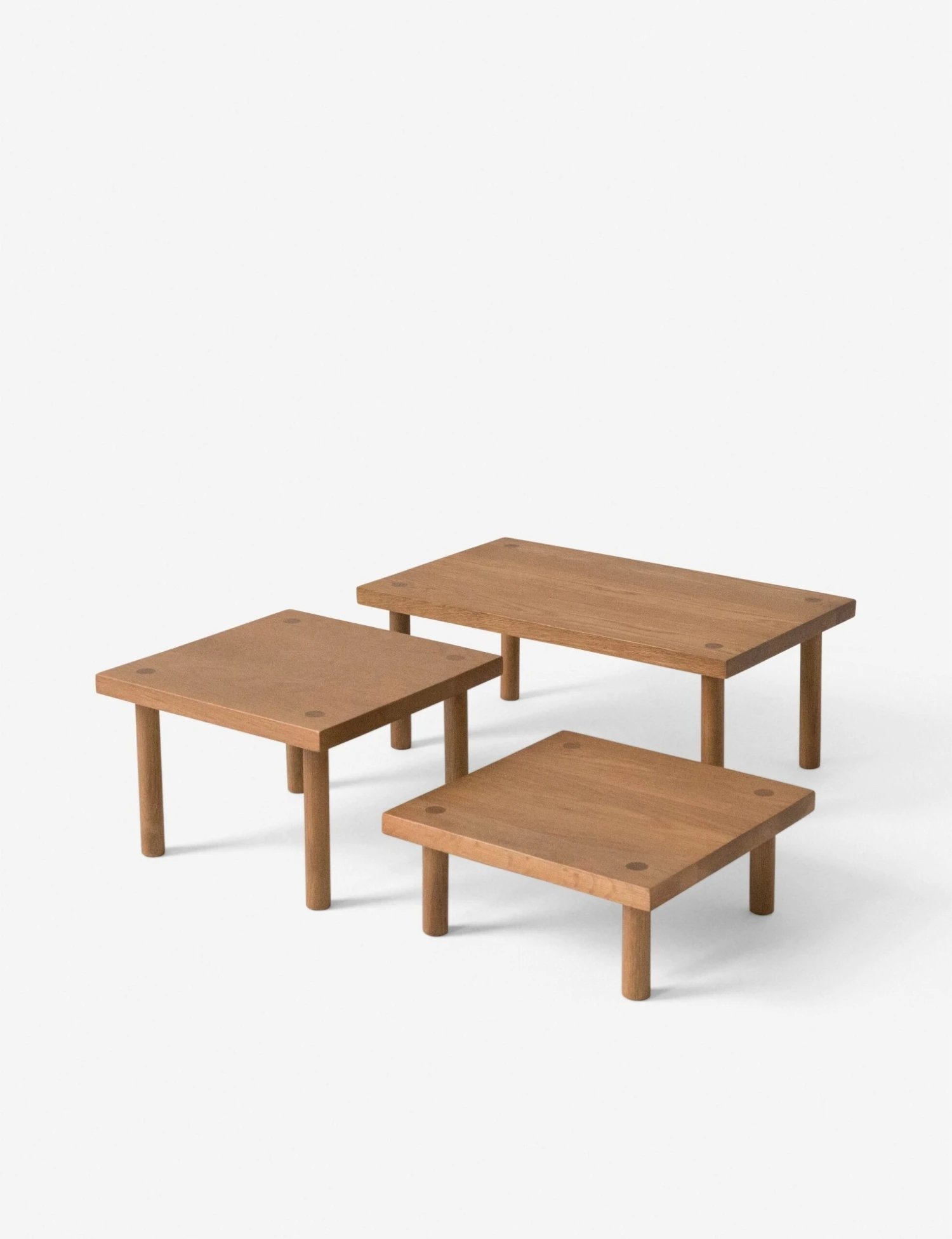 Yucca Stand By Sun At Six - Image 8